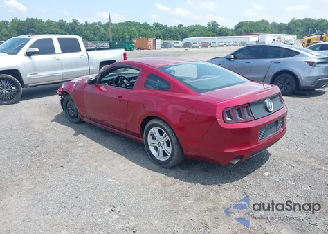2014 Ford Mustang V6 z USA, uszkodzony, nr VIN 1ZVBP8AM2E5280399